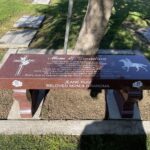 Memorial Benches - under a tree